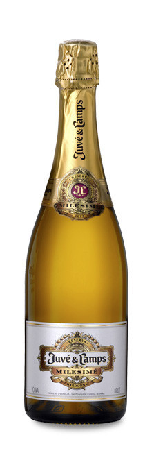 Juvé & Camps Milésimé