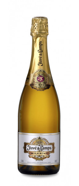 Juvé & Camps Milésimé