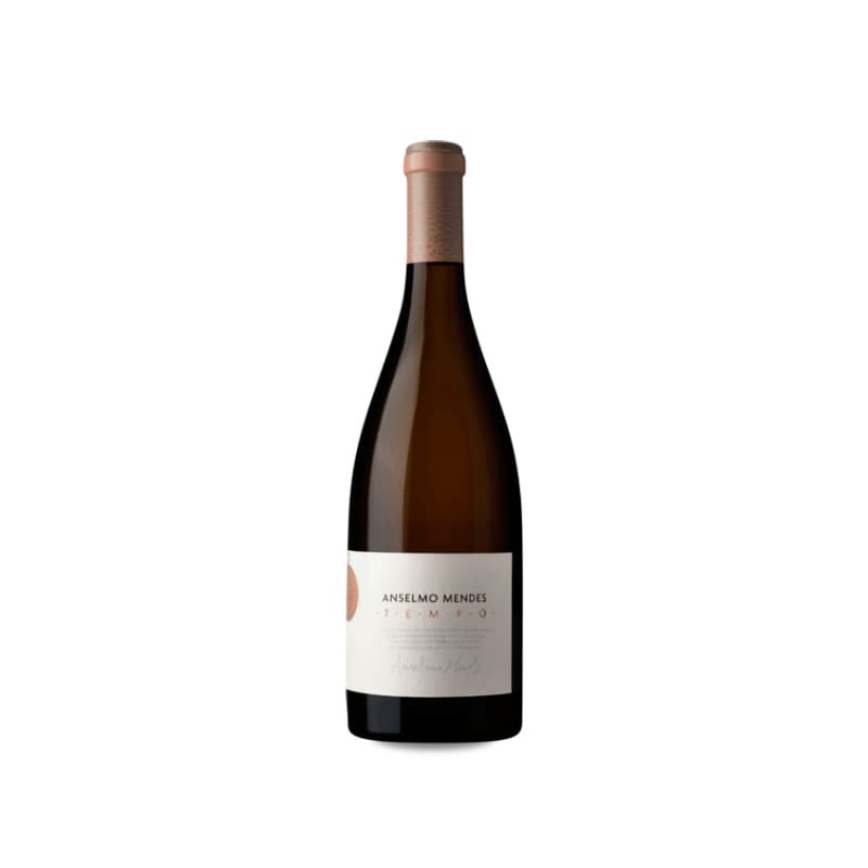 Anselmo Mendes Tempo 2017