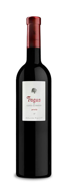 Fagus