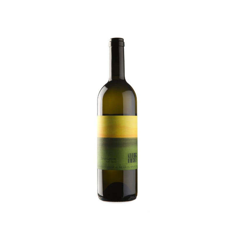 Muster Sauvignon Vom Opok 2021