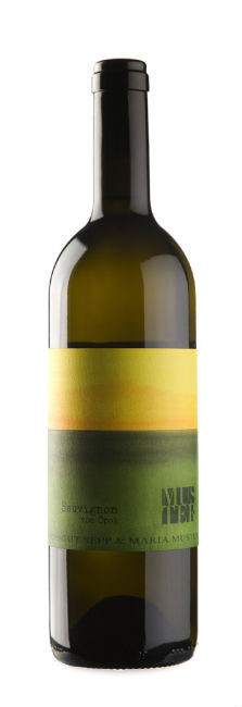 Muster Sauvignon vom Opok