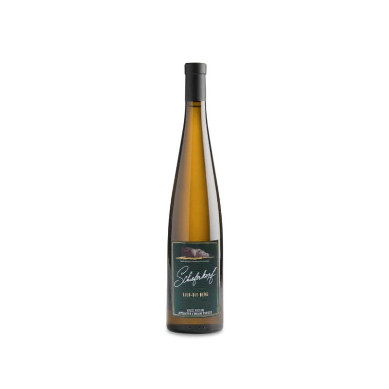 Schieferkopf Lieu-Dit Berg 2016