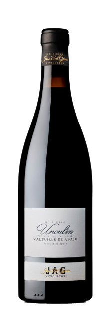 José Antonio García Viticultor Valtuille Vino de Villa 2020 | Decantalo Vinos (1x75cl)