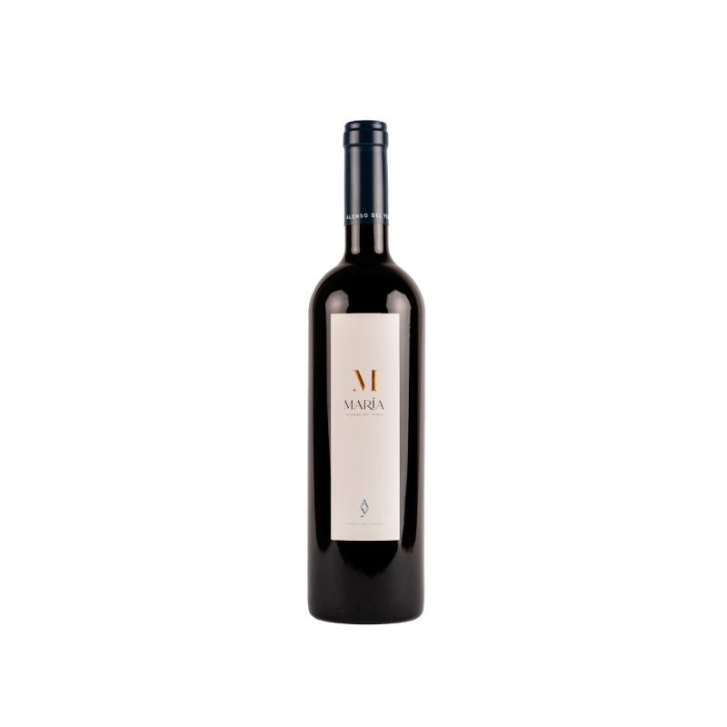 Alonso Del Yerro Maria 2019