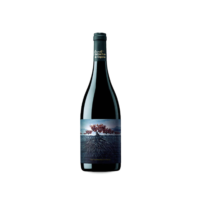 La Garnacha Perdida Del Pirineo 2019