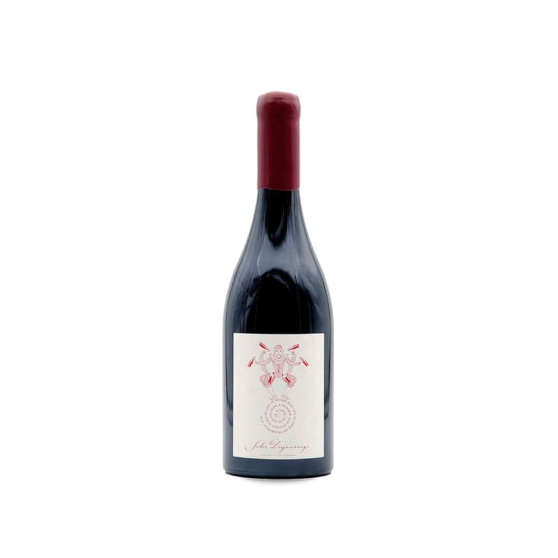 Domaine Jules Desjourneys Beaujolais Rouge 2020