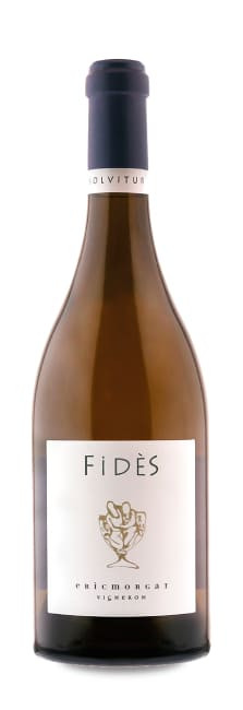 Domaine Eric Morgat Savennières Morgat Fidès