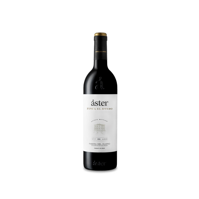 Áster Finca El Otero 2019