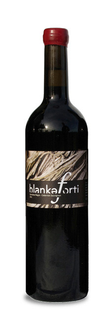 Jordi Llorens Blankaforti