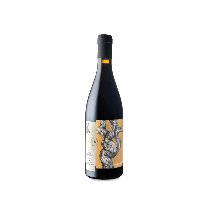 Salia De Finca Sandoval 2022