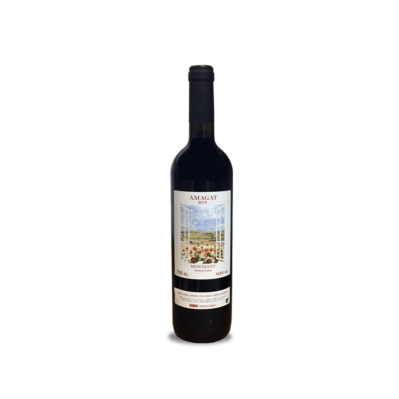 Clos De L'Ona Amagat 2016