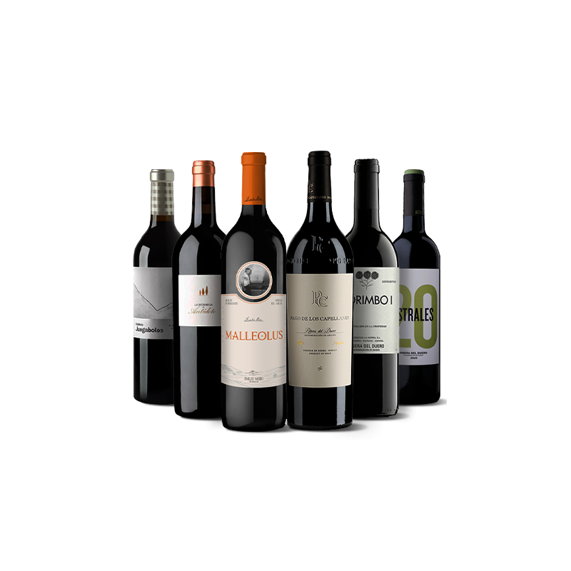 Grandes Vinos De La Ribera Del Duero