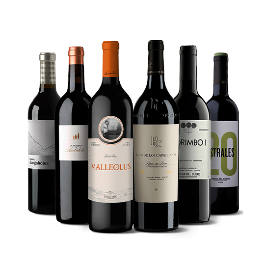 Großartige Ribera del Duero...