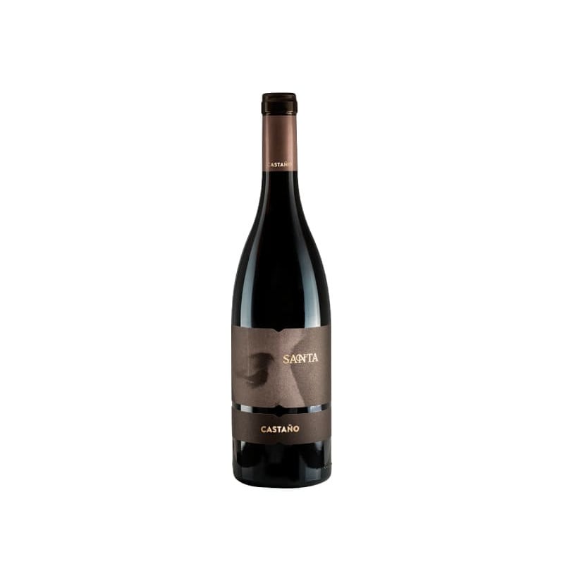 Santa Castaño 2017