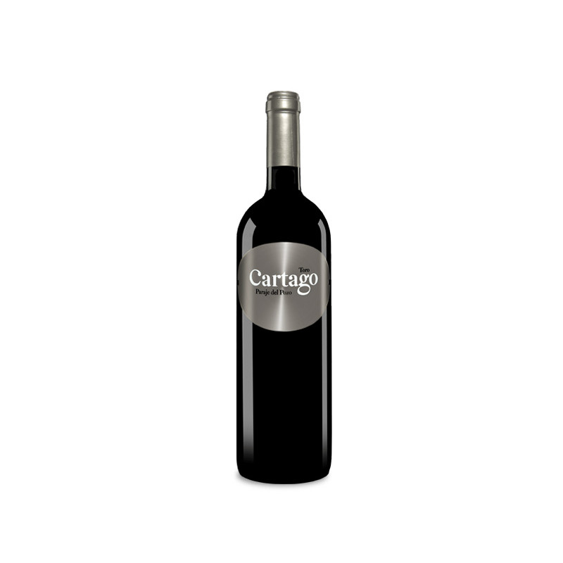 Bodegas Y Viñedos San Román Cartago Paraje Del Pozo Magnum 2018