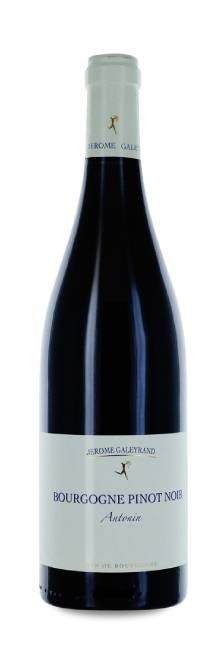 Jérôme Galeyrand Bourgogne Antonin