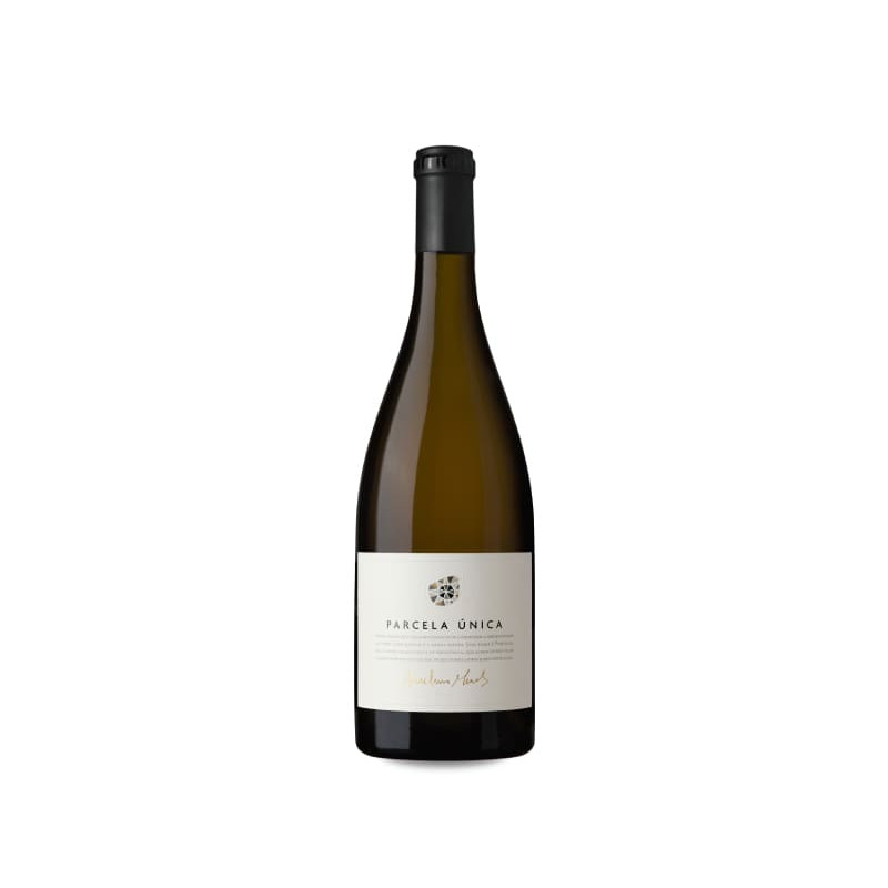 Anselmo Mendes Parcela Única 2021