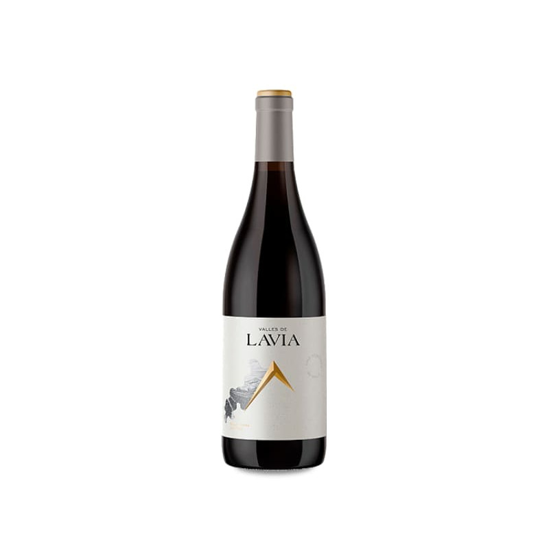 Lavia Valles De Lavia Venta Del Pino 2020