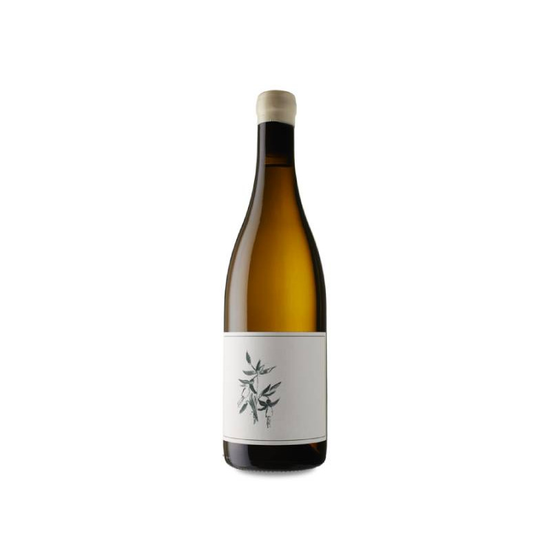 Arnot-Roberts Trout Gulch Vineyard Chardonnay 2021
