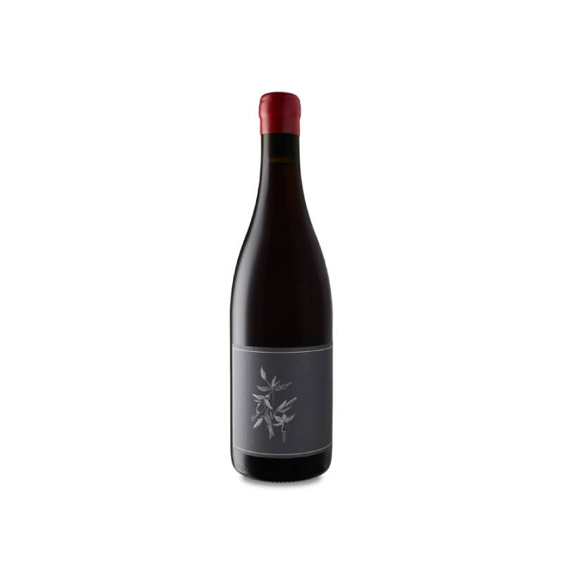 Arnot-Roberts Trousseau Noth Coast 2022
