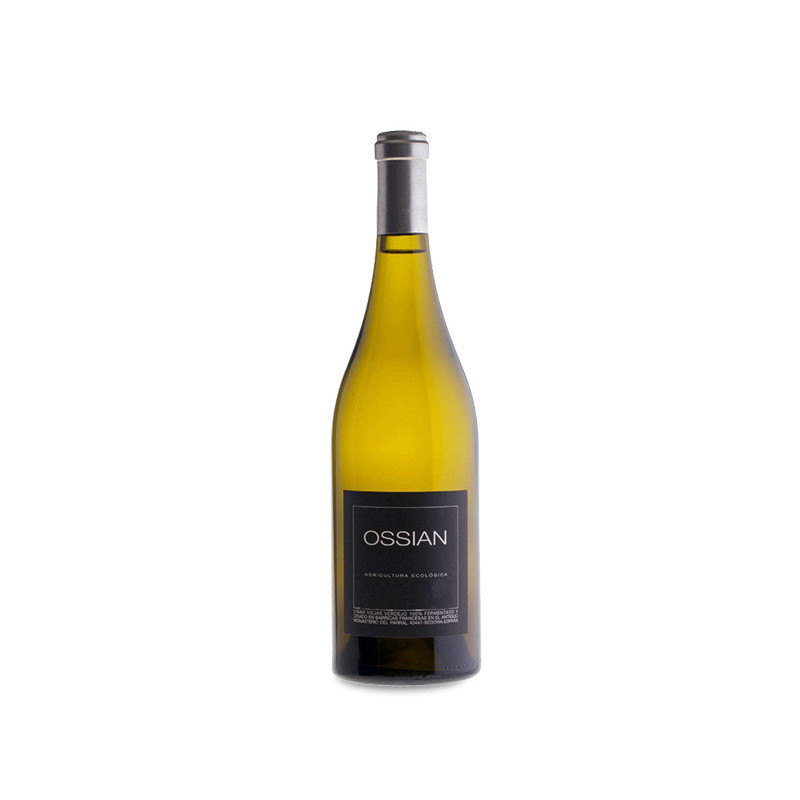 Ossian Magnum 2020