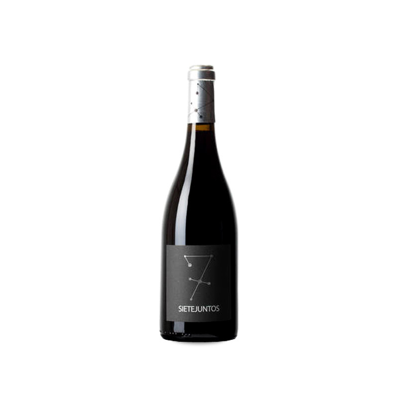 Microbio Sietejuntos Syrah 2022