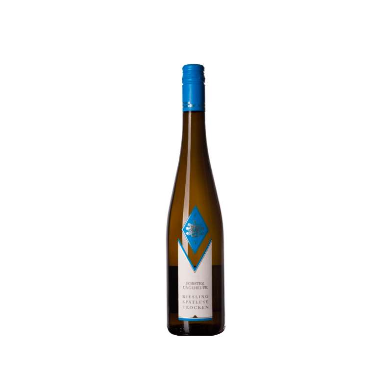 Forster Winzer Ungeheuer Selektion Riesling Seco 2022