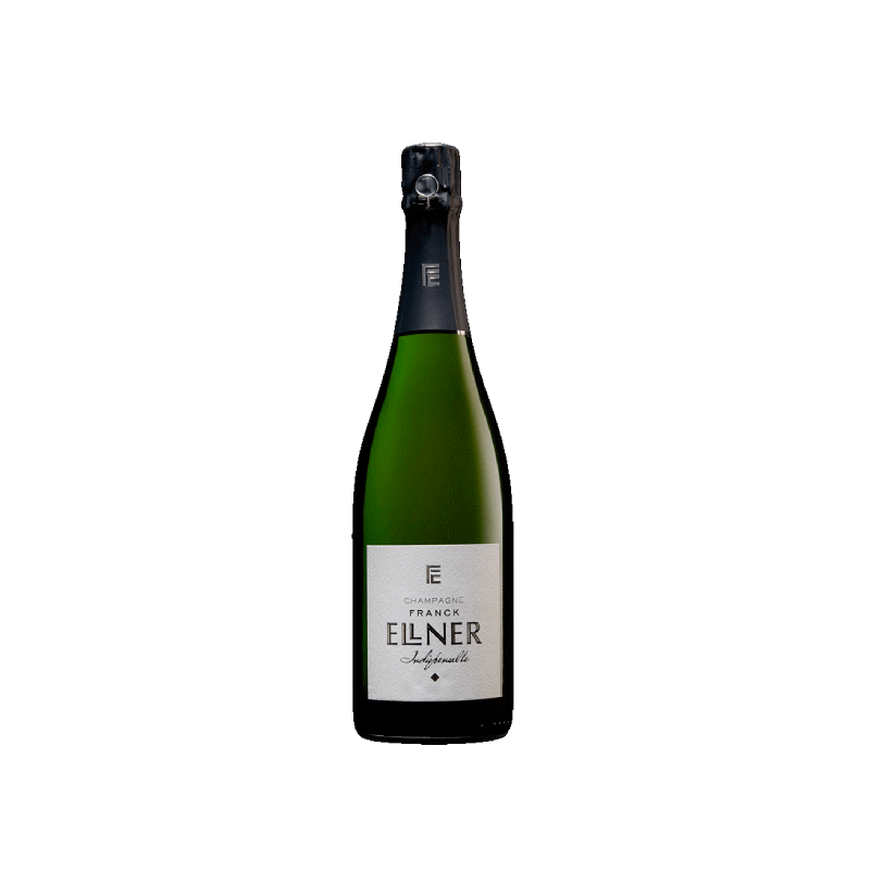 Franck Ellner L´indispensable Brut