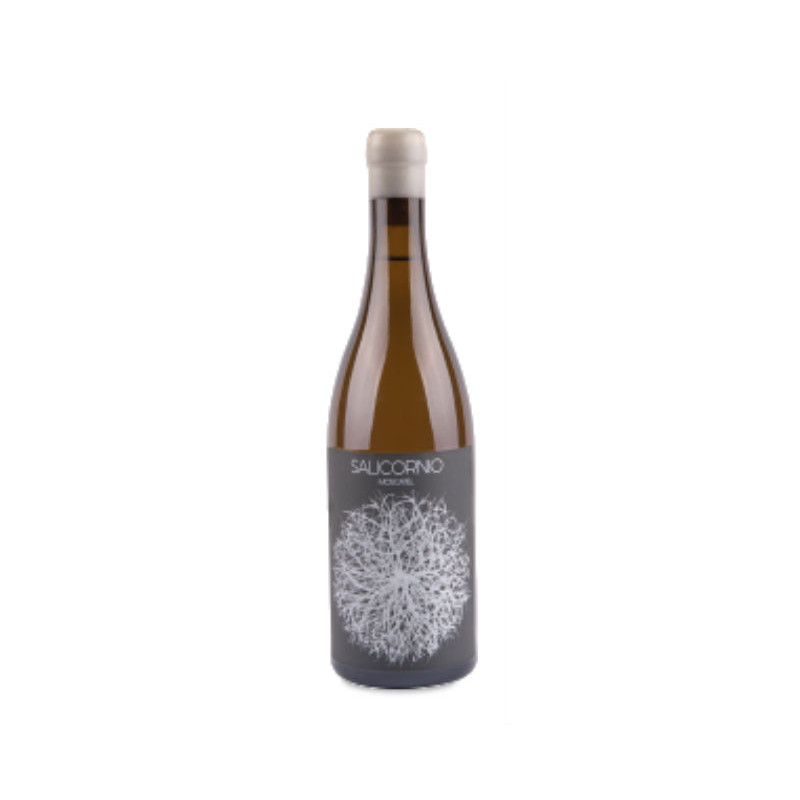 Casa Balaguer Salicornio Moscatel 2023