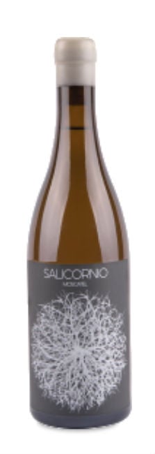 Casa Balaguer Salicornio Moscatel