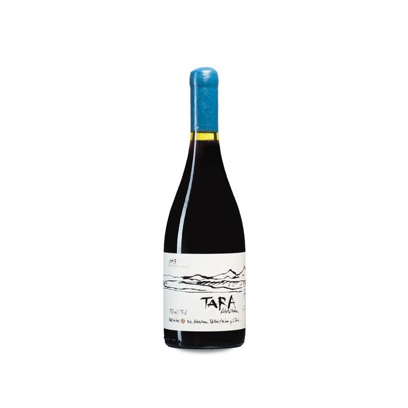 Ventisquero Tara Syrah 2019