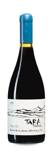 Ventisquero Tara Syrah
