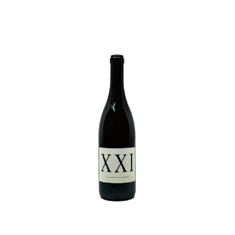 Domaine Didier Dagueneau Xxi 2021