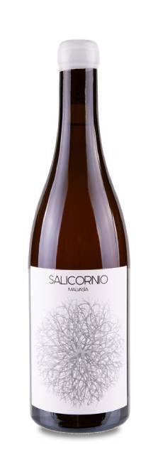 Casa Balaguer Salicornio Malvasía 2023 | Decantalo Vinos (1x75cl)