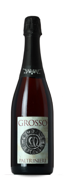 Paltrinieri Grosso 2021 | Decantalo Vinos (1x75cl)