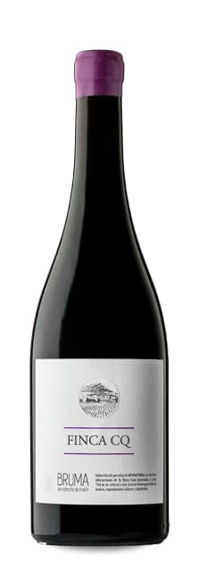 Viña Elena Bruma del Estrecho Finca CQ