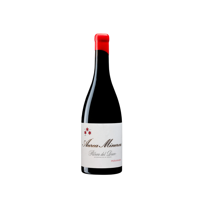 Bela Aurea Minerva 2022