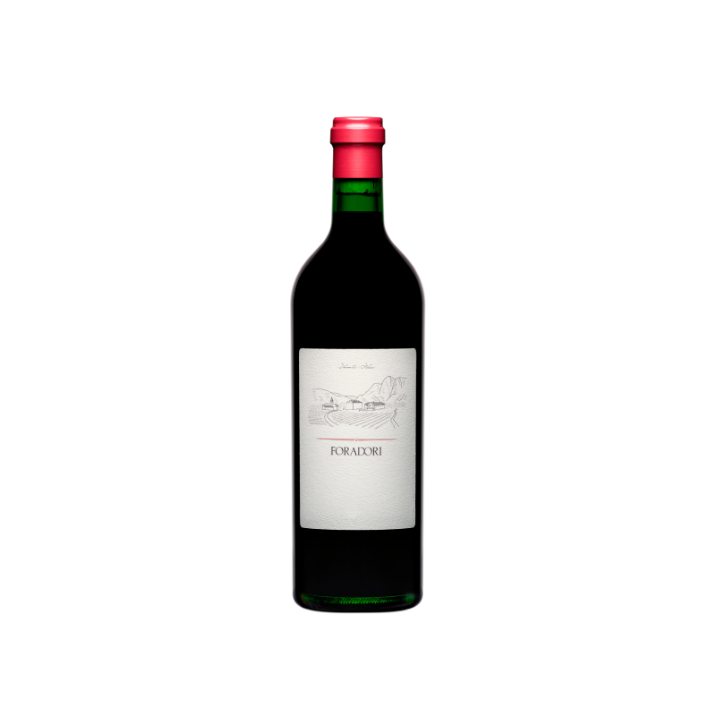 Foradori Teroldego 2022
