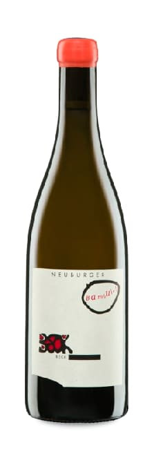 Judith Beck Bambule! Neuburger