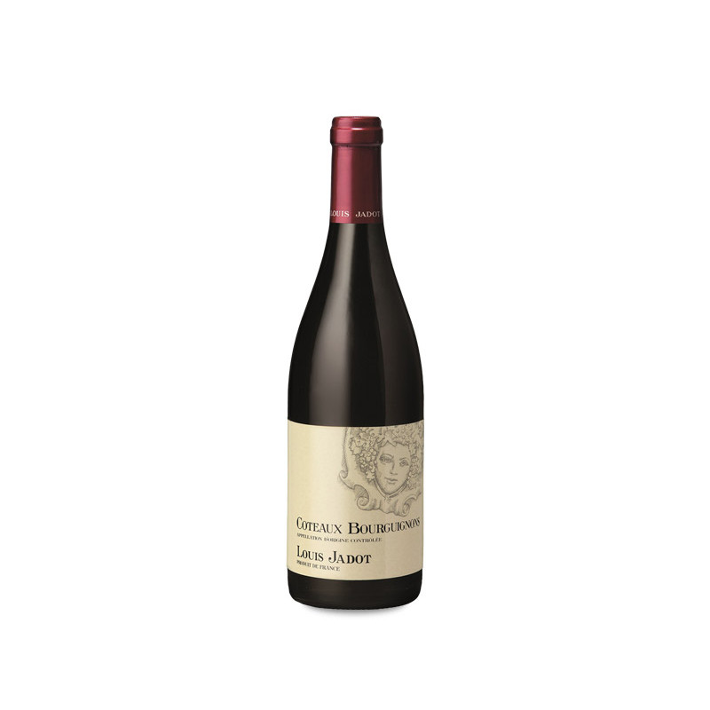 Louis Jadot Coteaux Bourguignons Rouge 2023