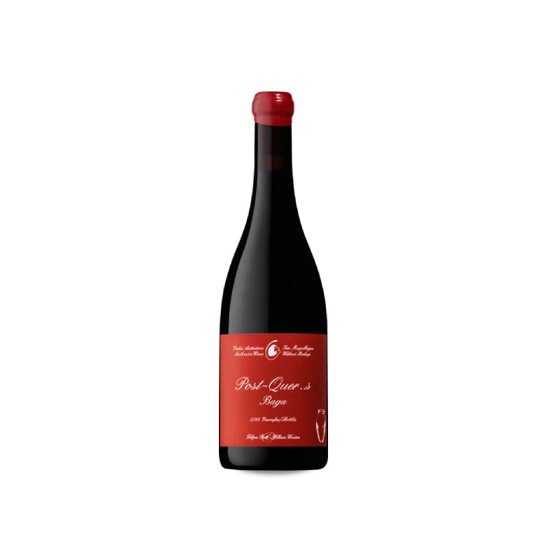 Filipa Pato & William Wouters Post-Quercus Baga 2023