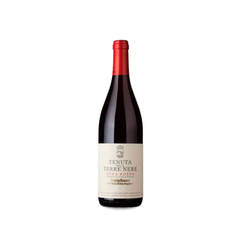 Tenuta Delle Terre Nere Calderara Sottana Prephylloxera La Vigna Di Don