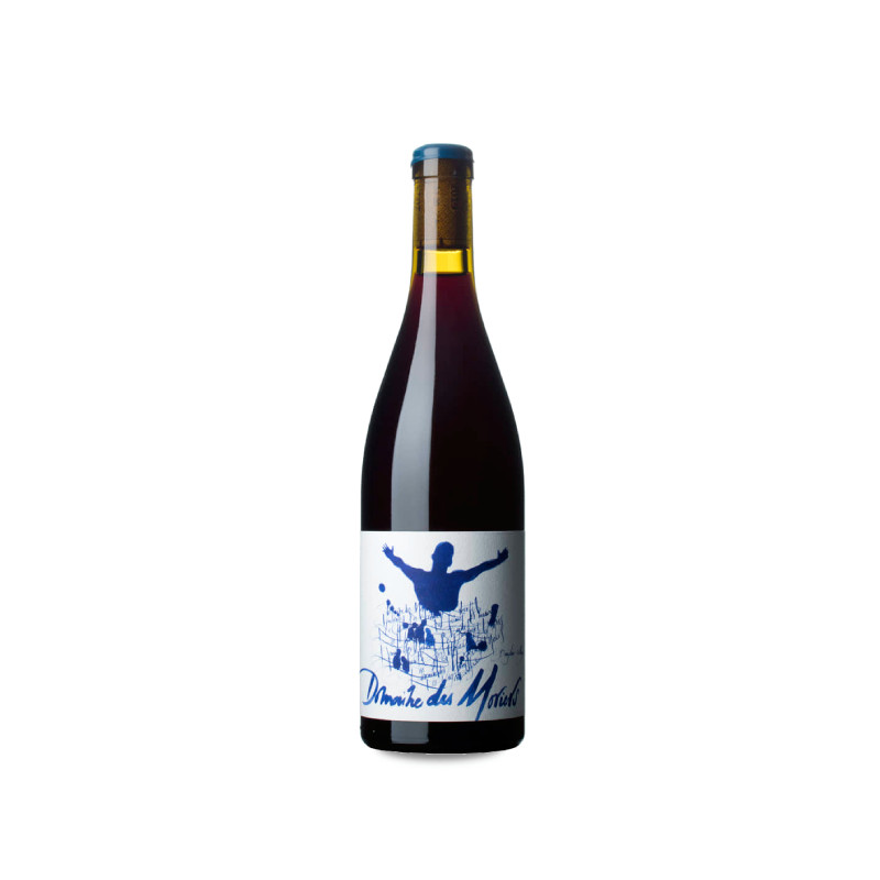 Domaine Des Moriers Beaujolais-Villages 2021