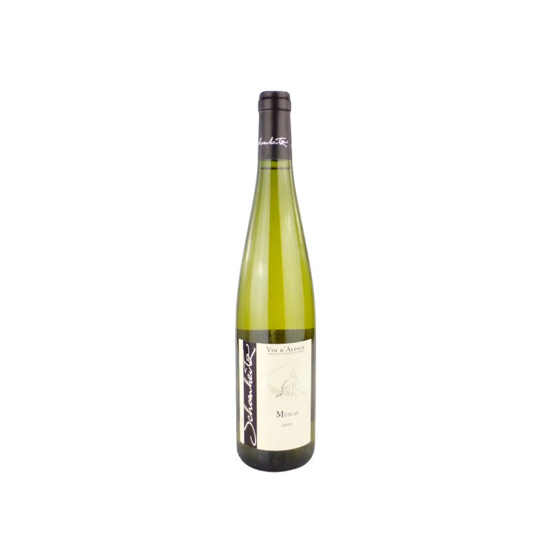 Schoenheitz Muscat 2022