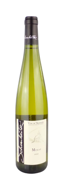 Schoenheitz Muscat