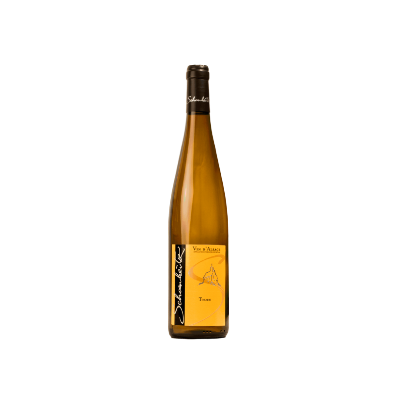 Schoenheitz Tokade 2022
