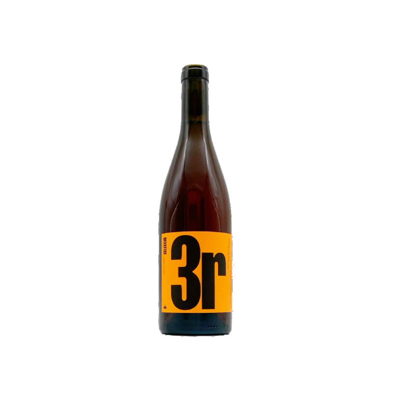 9+ Selecció 3r 2023