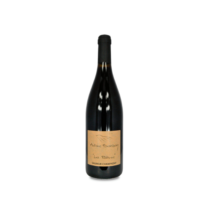 Antoine Sanzay Saumur-Champigny La Paterne 2022