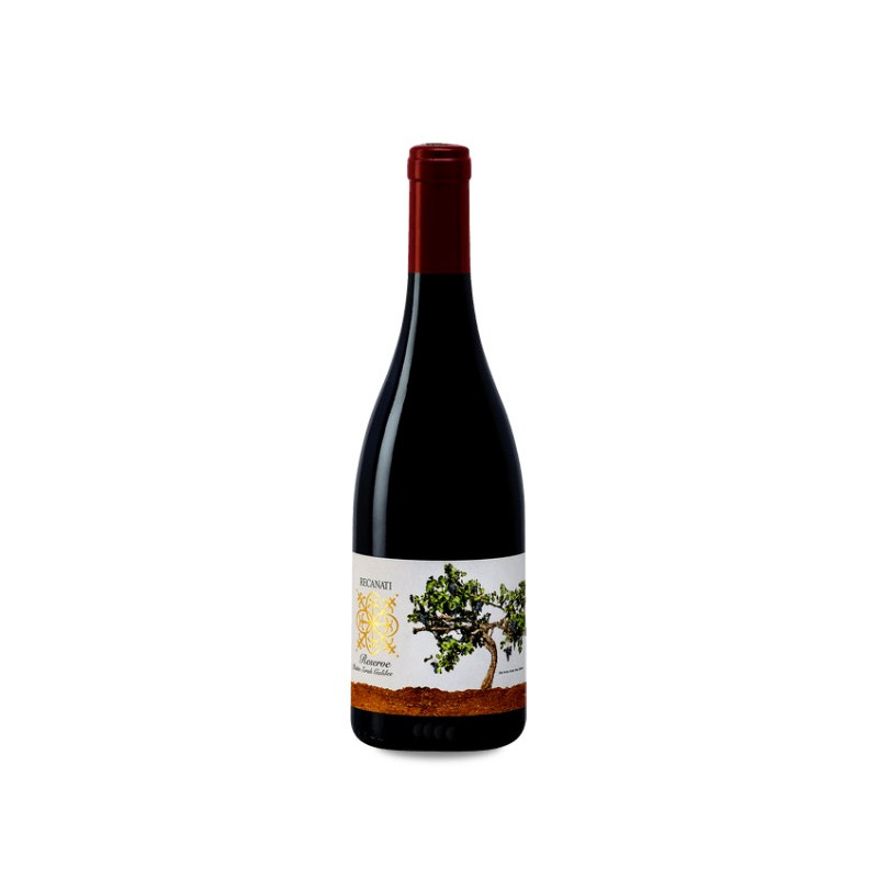 Recanati Petit Syrah Reserva 2019